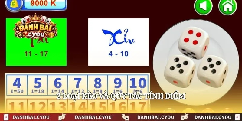 2 loại kèo và quy tắc tính điểm 